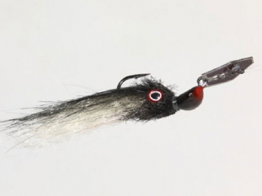 BLACK & SHRIMP